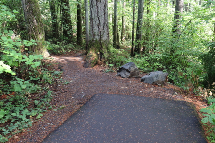 Hard surface trail ends and changes to natural surface — big lip at transition